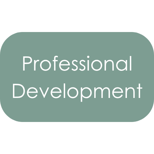 Professional Development
