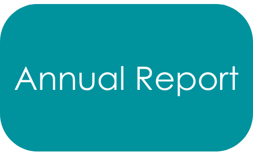 Annual Report Button