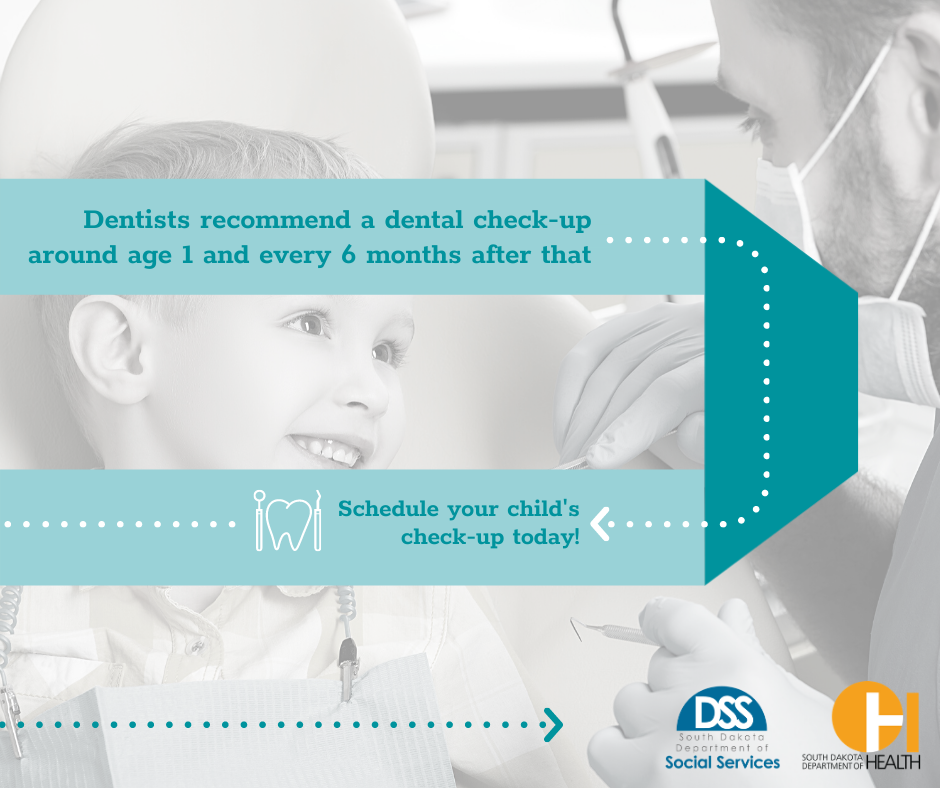 Dentist recommend a dental check-up around age 1 and every 6 months after that